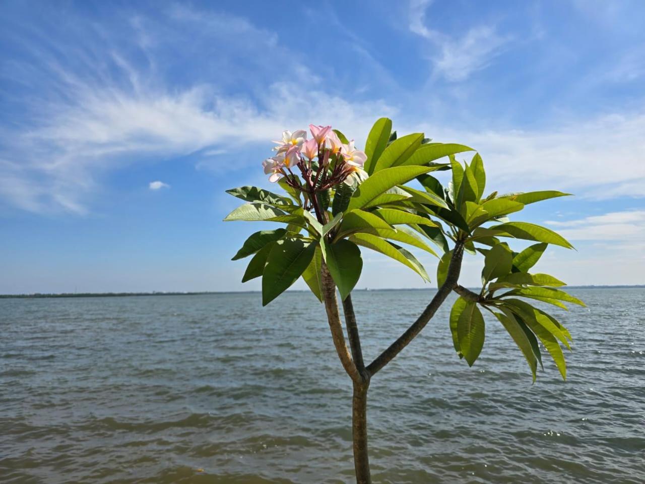 Lagoon Bay Resort Negombo Luaran gambar